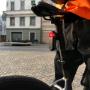 Garmin Varia