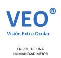 Desarrollo Mental y Conciencial VEO "2"