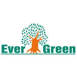 Ever Green