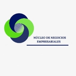 Núcleo de Negocios Empresariales