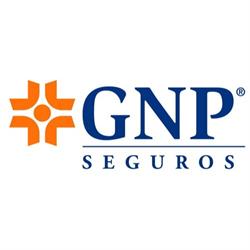 Geobana Primero agente de seguros GNP