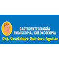 Dra. Guadalupe Quintero Aguilar