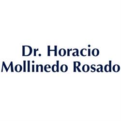 Dr. Horacio Mollinedo Rosado
