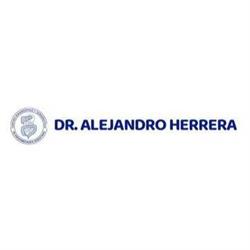 Dr. José Alejandro Herrera López