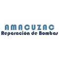 Amacuzac Reparación De Bombas