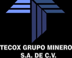 TECOX GRUPO MINERO S.A DE C.V