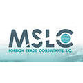 Mslc Foreign Trade Consultants