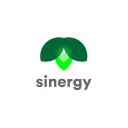 Grupo Sinergy