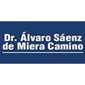 Dr. Álvaro Sáenz De Miera Camino