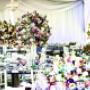 Bodas