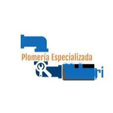 Plomería Especializada El Fénix