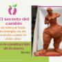 Transforma tu cuerpo