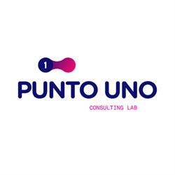 Punto Uno Consulting Lab