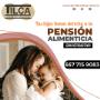 Pension Alimenticia