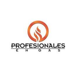 Profesionales En Gas