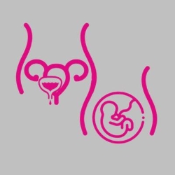 Uroginecologia