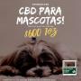 CBD para mascotas