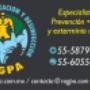 Fumigación y Desinfección