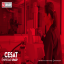 Catálogo de servicios CESAT UPAEP