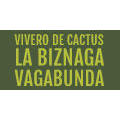 Vivero De Cactus La Biznaga Vagabunda