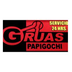 Grúas Papigochi
