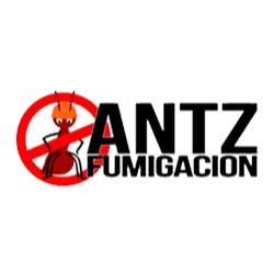 Antz Fumigación