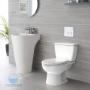libra asiento para sanitarios