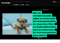 Sitio web de GATOPERRO