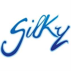 SILKY INDUSTRIAL SA DE CV
