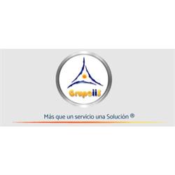 Grupo IIS