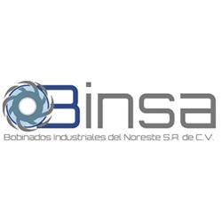 Binsa Bobinados Industriales Del Noreste Sa De Cv
