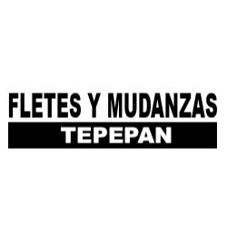 Fletes Y Mudanzas Tepepan