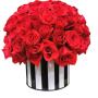 48 Rosas