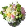 Cristal Roses