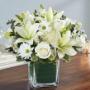 Dante II