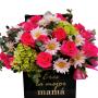 Roses in a box