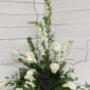 Tiziano