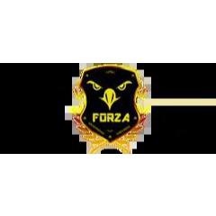 Forza Y Calidad Seguridad Privada