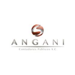 Angani Contadores Públicos