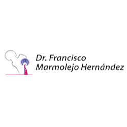 Dr. Francisco Marmolejo Hernández