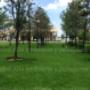 jardineros-leon-gto