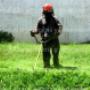 jardineros-profesionales-leon
