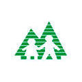 Special Treated Lumber
