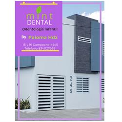 mint DENTAL Paloma Hernández Odontología