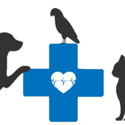 Veterinaria Zona Zoo