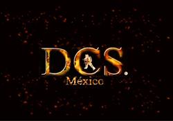 DCS MÉXICO CONSULTORES Y DISTRIBUIDORES