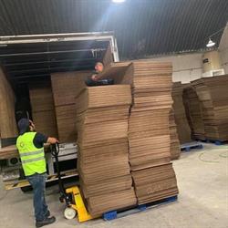 GARPEZ Box Packing