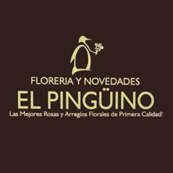 Florería y Novedades El Pingüino