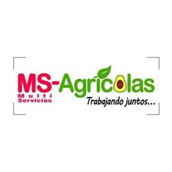 Multi Servicios Agricolas de Tacambaro