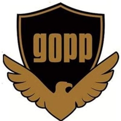 SERVICIOS DE EXCELENCIA EN SEGURIDAD PRIVADA GOPP S.A DE R. L.